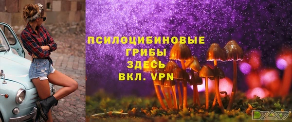 марки nbome Богданович