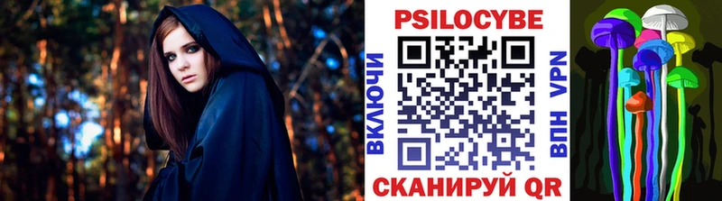 закладка  Котлас  Псилоцибиновые грибы Psilocybe 